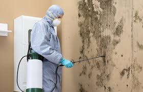 Professional Mold Remediation in Fillmore, UT